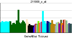 PBB GE CREBBP 211808 s at tn.png