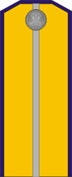 White Army OF-3 - Kuren Regiment (Taras Shevchenko) 1918-1919.png