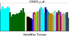 PBB GE MPL 216825 s at tn.png