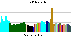 PBB GE ING1 210350 x at tn.png