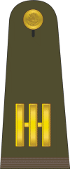 Mexican Military Capitan-primero.gif