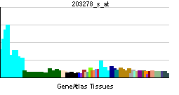 PBB GE PHF21A 203278 s at tn.png
