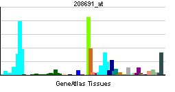 PBB GE TFRC 208691 at tn.png
