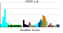 PBB GE CUL4B 210257 x at tn.png