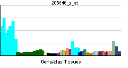 PBB GE TYK2 205546 s at tn.png