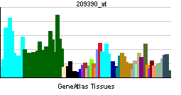 PBB GE TSC1 209390 at tn.png