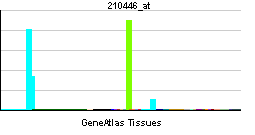 PBB GE GATA1 210446 at tn.png