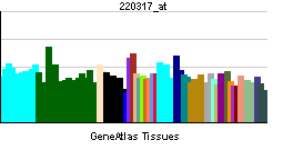 PBB GE LRAT 220317 at tn.png
