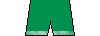 Kit shorts pumacupjersey1920g.png