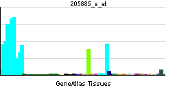 PBB GE ITGA4 205885 s at tn.png