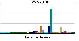 PBB GE JAG1 209098 s at tn.png