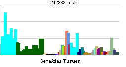 PBB GE CTBP1 212863 x at tn.png