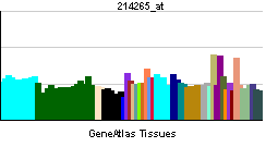 PBB GE ITGA8 214265 at tn.png