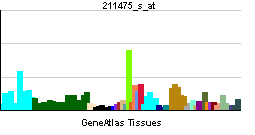 PBB GE BAG1 211475 s at tn.png