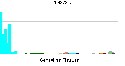 PBB GE SELPLG 209879 at tn.png