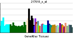 PBB GE HUS1 217618 x at tn.png