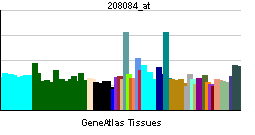 PBB GE ITGB6 208084 at tn.png