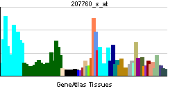 PBB GE NCOR2 207760 s at tn.png