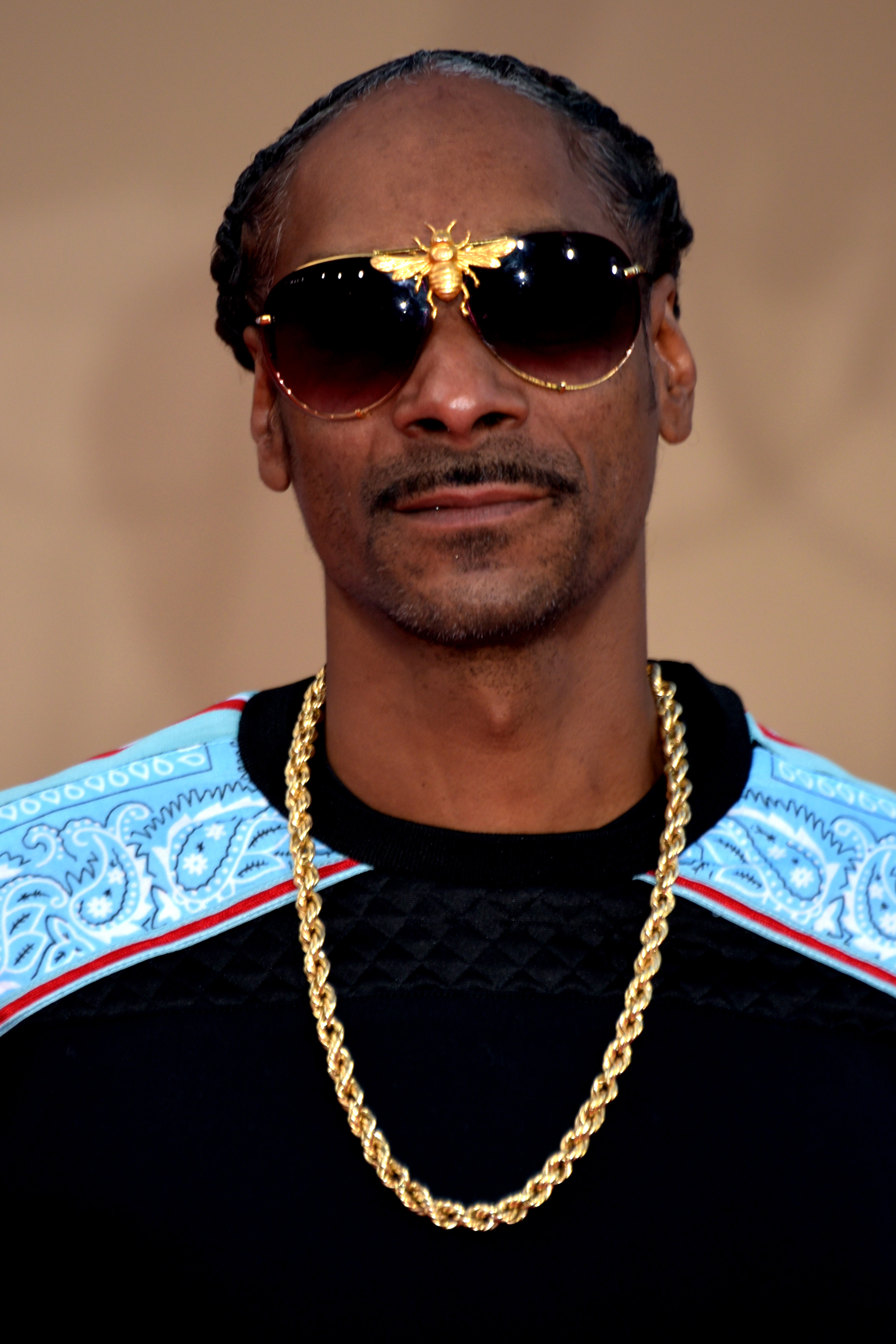 Snoop Dogg, биография и музыкальное творчество — РУВИКИ
