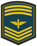 Sub-Oficial Mayor (Chief Master Sergeant).gif