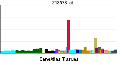 PBB GE BMPR1A 213578 at tn.png