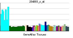 PBB GE HUS1 204883 s at tn.png