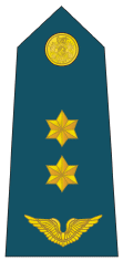 Teniente Coronel De Avación (Lieutenant Colonel).gif