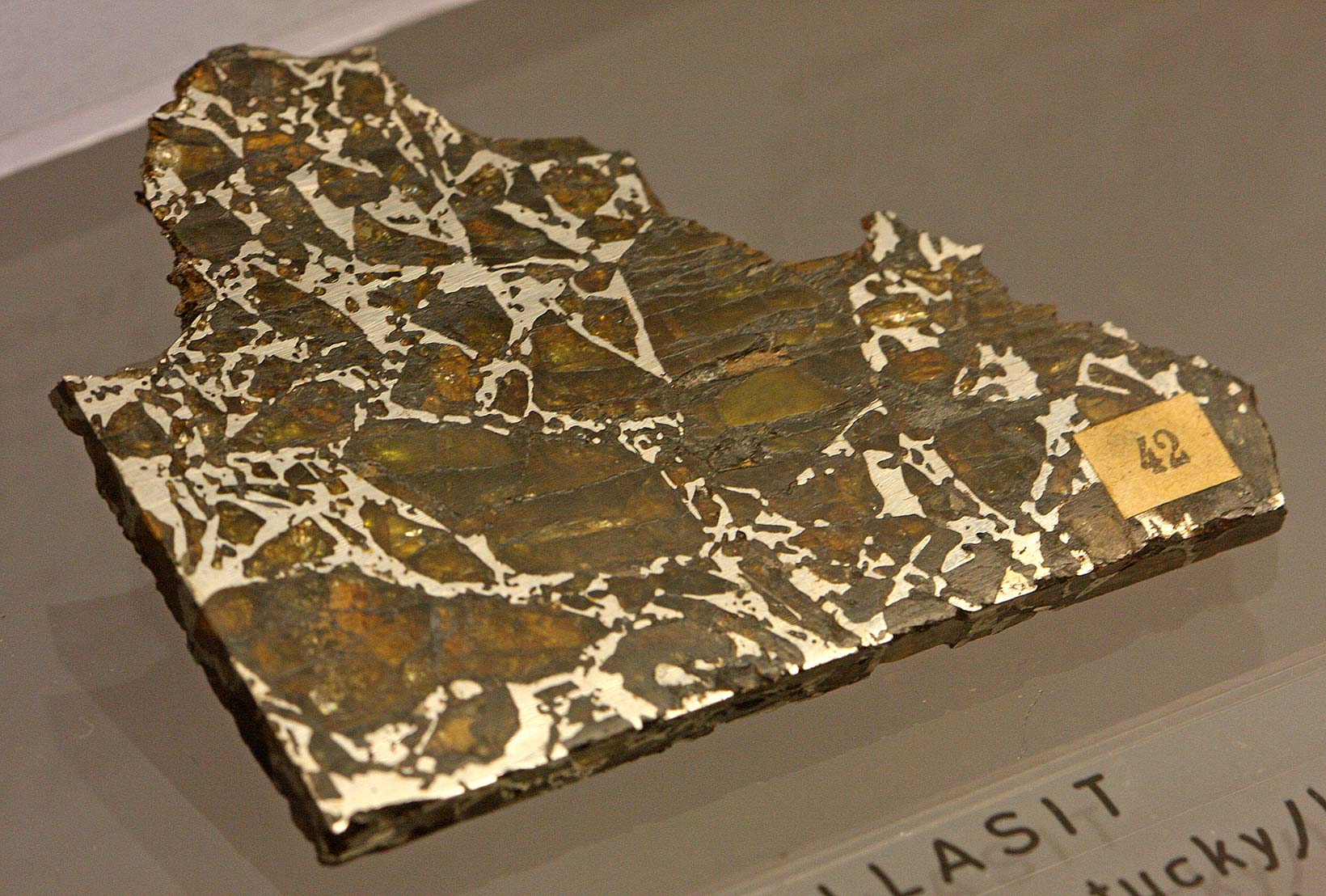 MPP Eagle Station pallasite, Mineralogisches Museum, Bonn.jpg