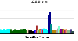 PBB GE MMP14 202828 s at tn.png