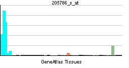 PBB GE ITGAM 205786 s at tn.png