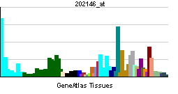 PBB GE IFRD1 202146 at tn.png