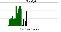 PBB GE NEFL 221805 at tn.png