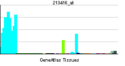 PBB GE ITGA4 213416 at tn.png