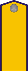 White Army OR-1 - Kuren Regiment (Taras Shevchenko) 1918-1919.png