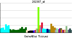 PBB GE BAG1 202387 at tn.png