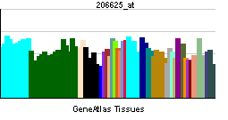 PBB GE PRPH2 206625 at tn.png