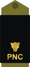Congo-kinshasa-police 12.gif