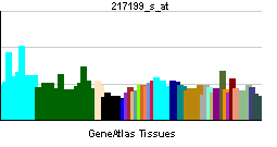 PBB GE STAT2 217199 s at tn.png