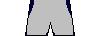 Kit shorts gelp2026t.png