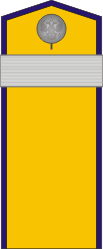 White Army OR-7 - Kuren Regiment (Taras Shevchenko) 1918-1919.png