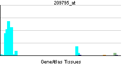 PBB GE CD69 209795 at tn.png