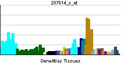 PBB GE CUL1 207614 s at tn.png