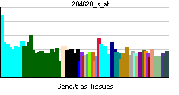PBB GE ITGB3 204628 s at tn.png