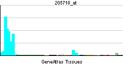 PBB GE ITGB7 205718 at tn.png