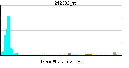 PBB GE RBL2 212332 at tn.png