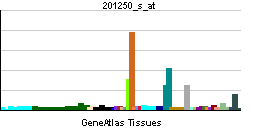 PBB GE SLC2A1 201250 s at tn.png