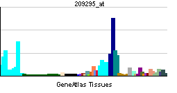 PBB GE TNFRSF10B 209295 at tn.png