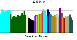 PBB GE UCP1 221384 at tn.png