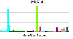 PBB GE EPOR 209962 at tn.png