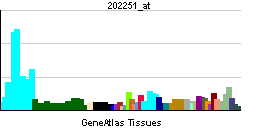 PBB GE PRPF3 202251 at tn.png